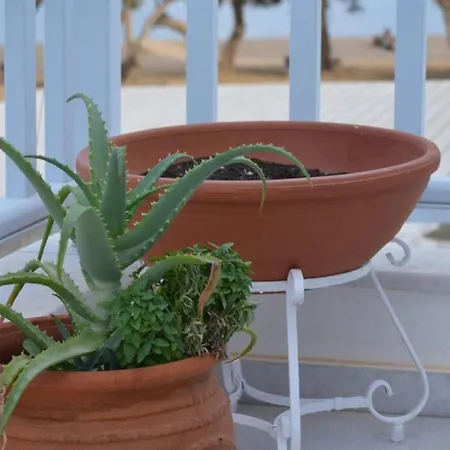 Fairy-tale Seafront Cycladic Holiday home Parikia (Paros)